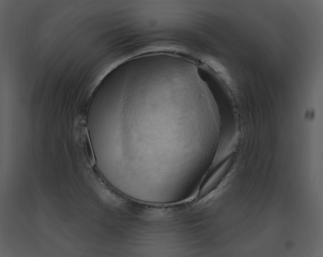 X0000093261369200710171439