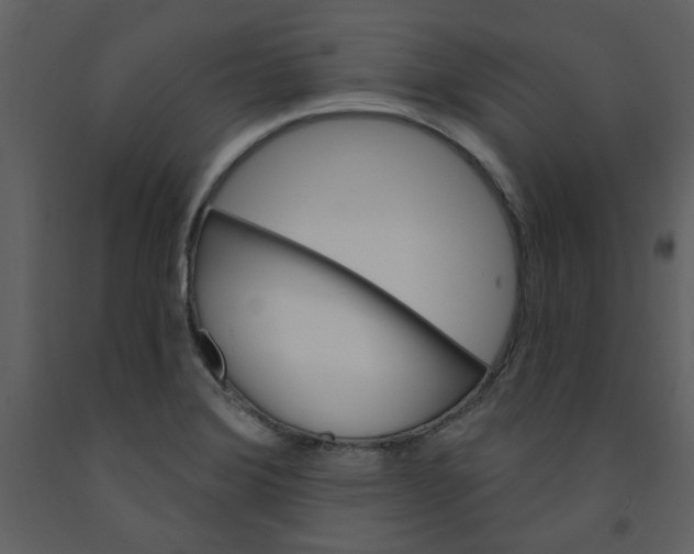 X0000093261372200710171439