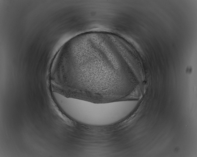 X0000093261375200710171439