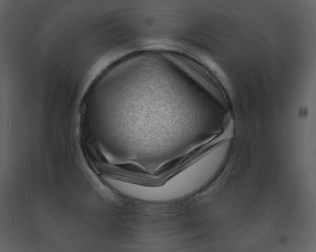 X0000093261376200710171439