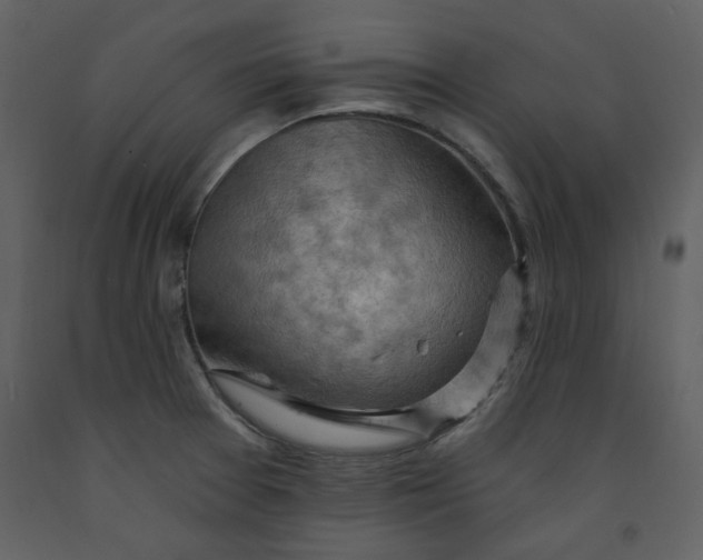 X0000093261377200710171439