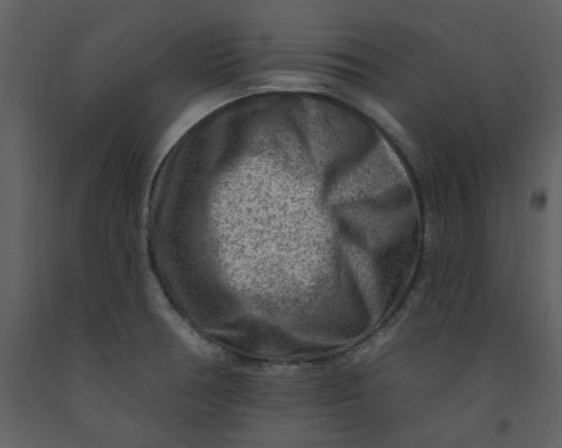 X0000093261378200710171439