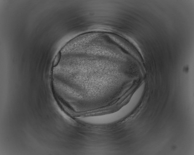 X0000093261379200710171439