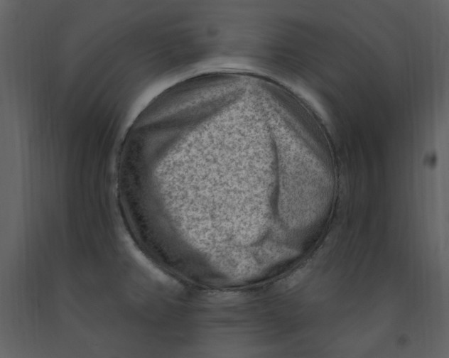 X0000093261382200710171438