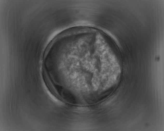 X0000093261383200710171438