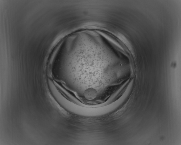 X0000093261384200710171438