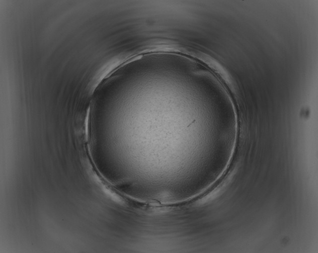 X0000093261385200710171438