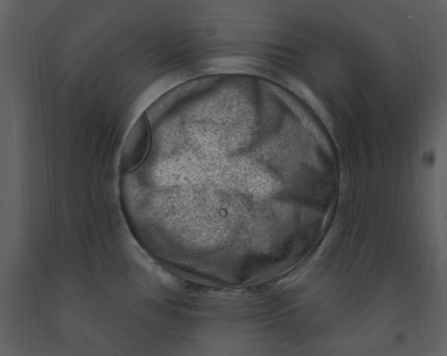 X0000093261386200710171438