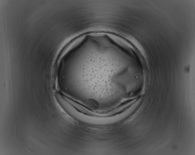 X0000093261388200710171438