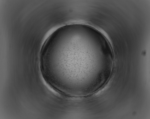 X0000093261389200710171438