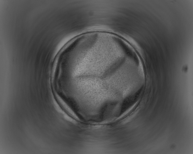 X0000093261390200710171438