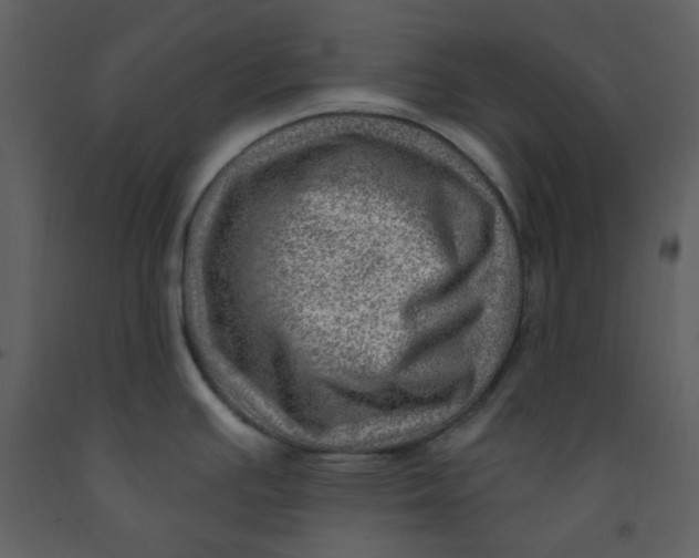 X0000093261391200710171438