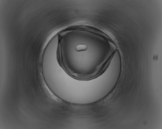 X0000093261392200710171438