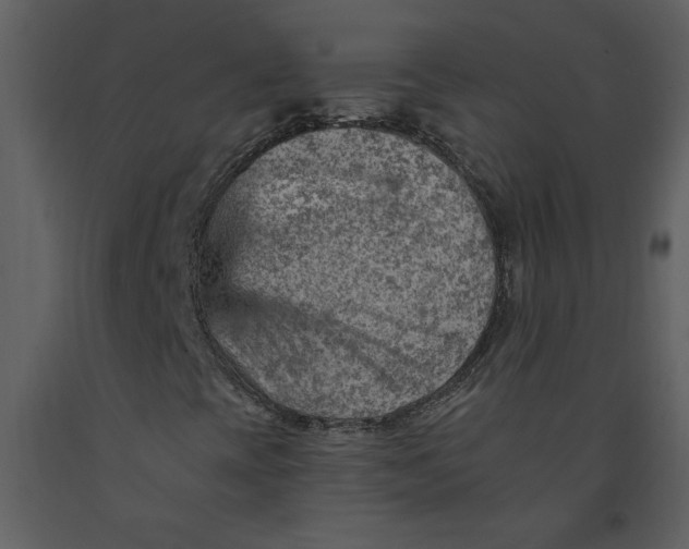 X0000093261393200710171438