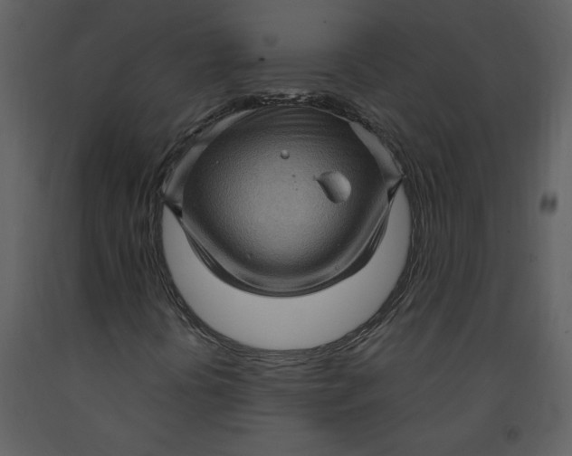 X0000093261394200710171438