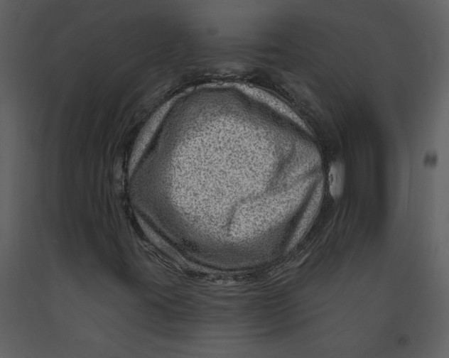 X0000093261395200710171438