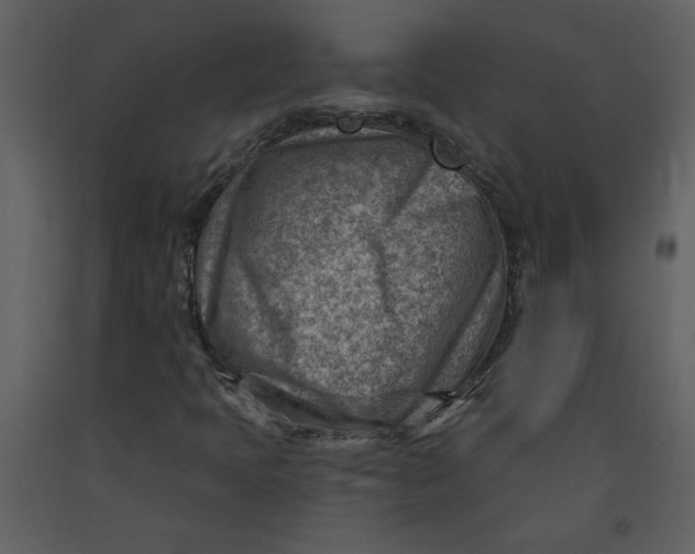 X0000093261397200710171438