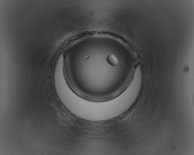 X0000093261398200710171438