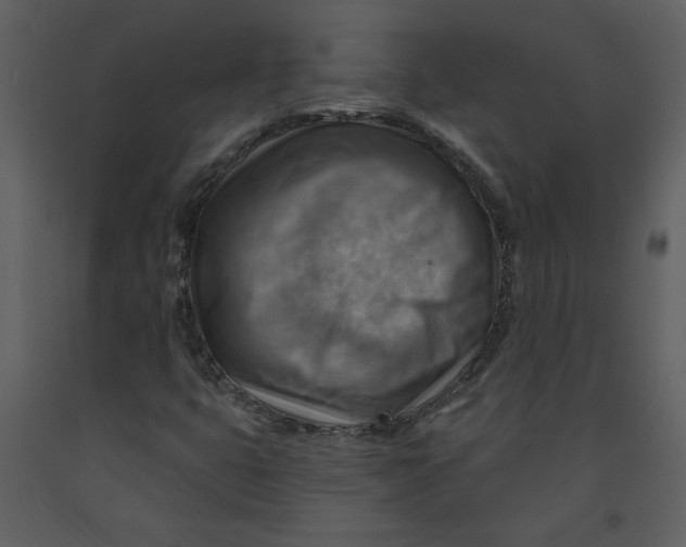 X0000093261399200710171438