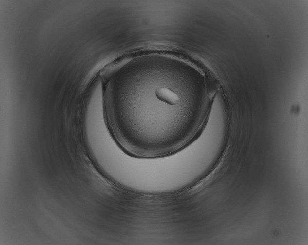 X0000093261402200710171438