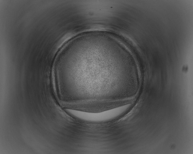 X0000093261409200710171438