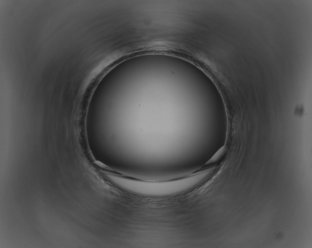 X0000093261410200710171438