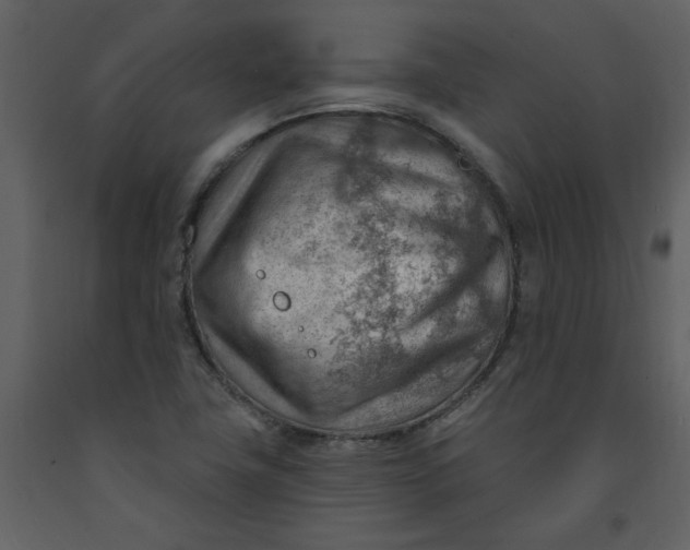 X0000093261411200710171438