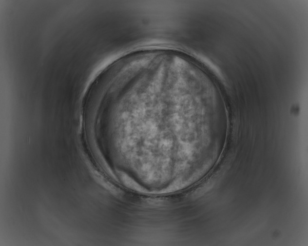 X0000093261413200710171438