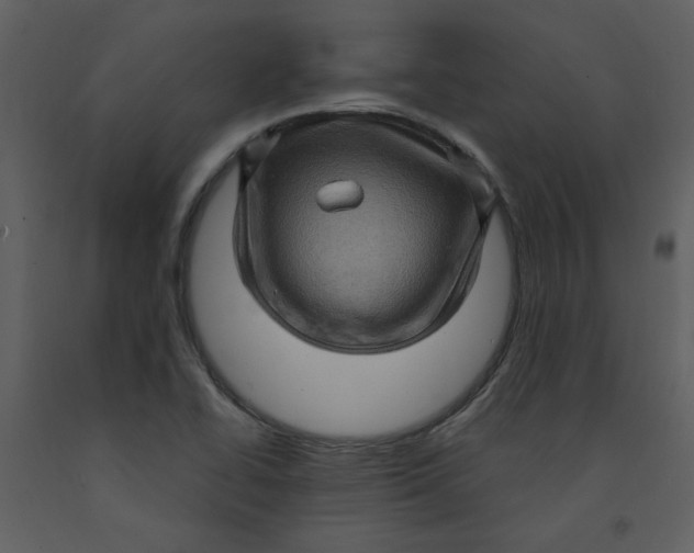 X0000093261414200710171438