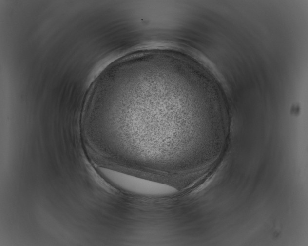 X0000093261417200710171438