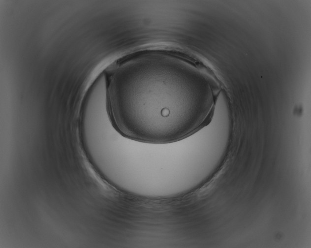 X0000093261418200710171438