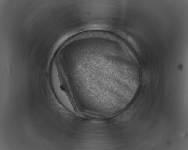 X0000093261419200710171438