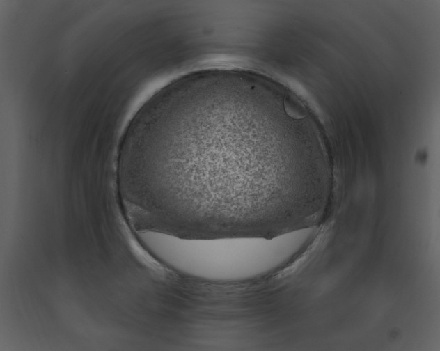 X0000093261421200710171438