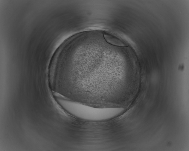 X0000093261423200710171438