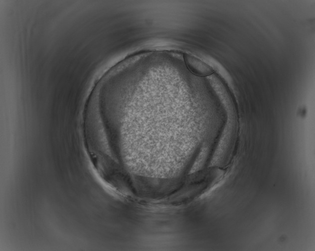 X0000093261429200710171438