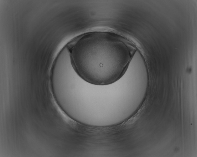 X0000093261430200710171438