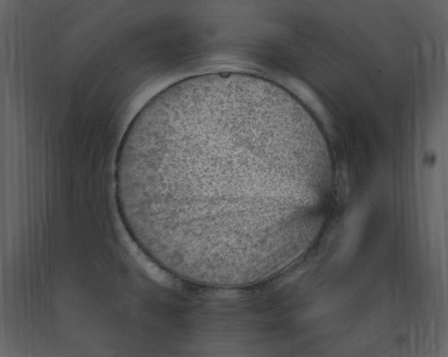 X0000093261431200710171438