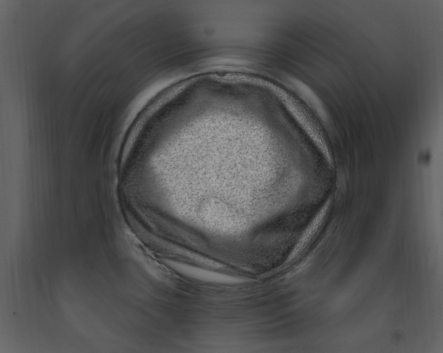 X0000093261435200710171438