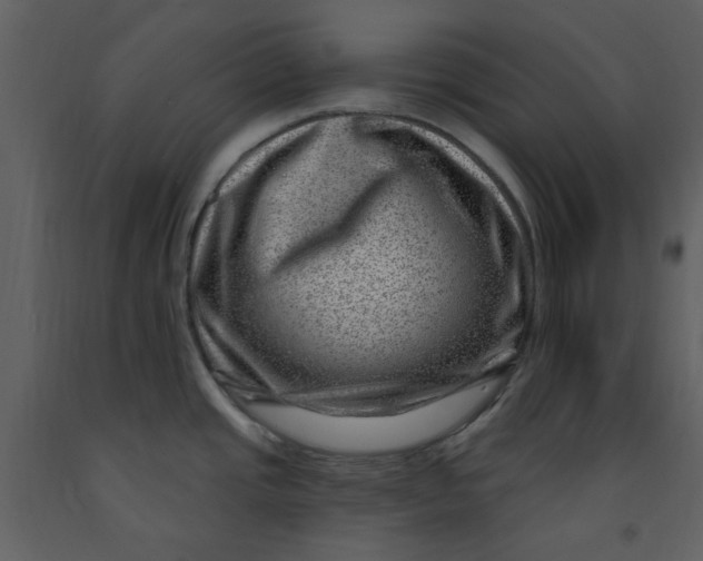 X0000093261437200710171438