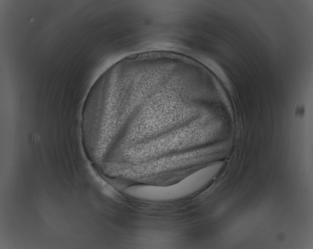 X0000093261439200710171438