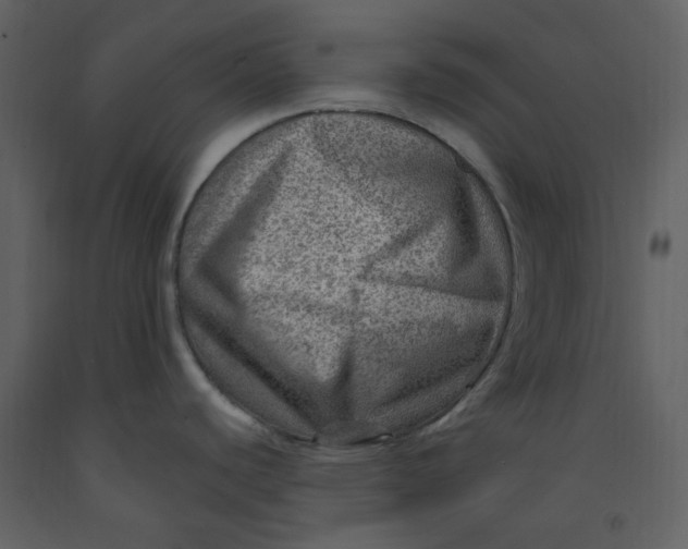 X0000093261440200710171438