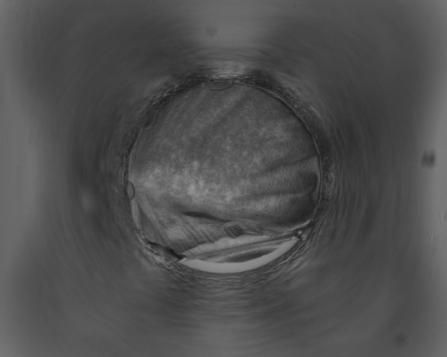 X0000093261441200710171438