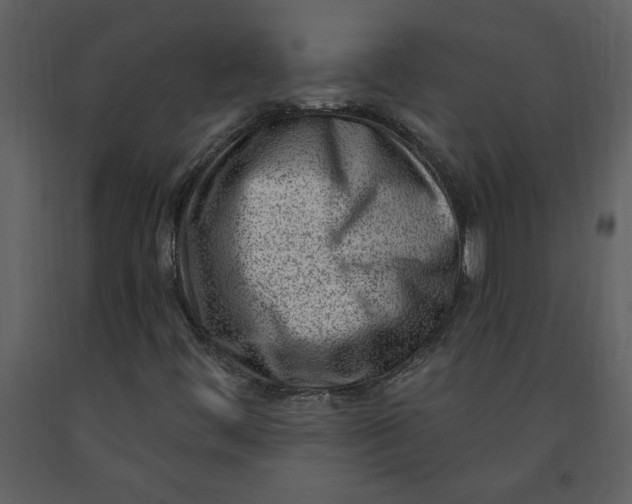 X0000093261444200710171438