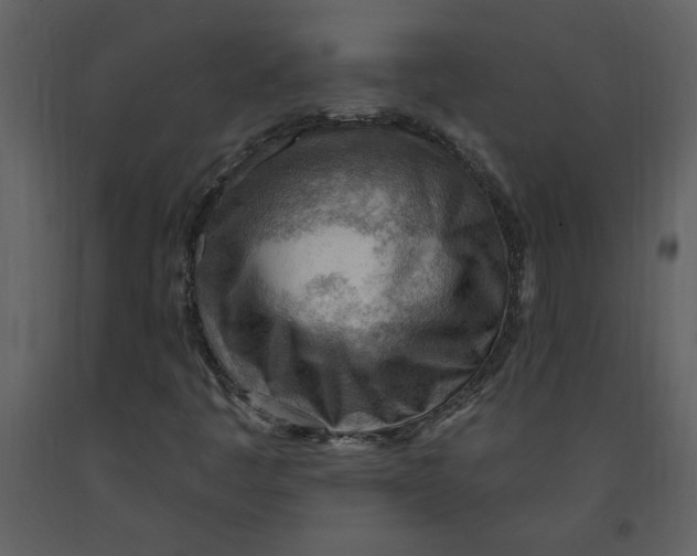 X0000093261445200710171438