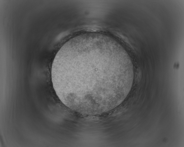 X0000093261446200710171438