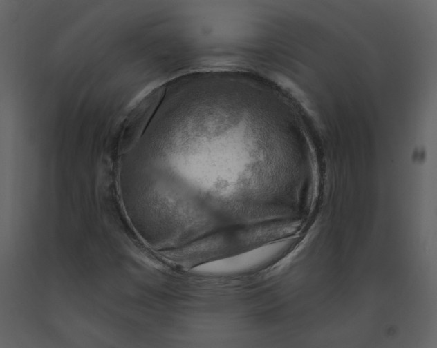 X0000093261449200710171438