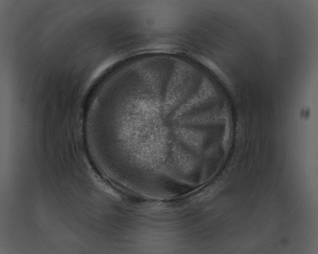 X0000093261450200710171438