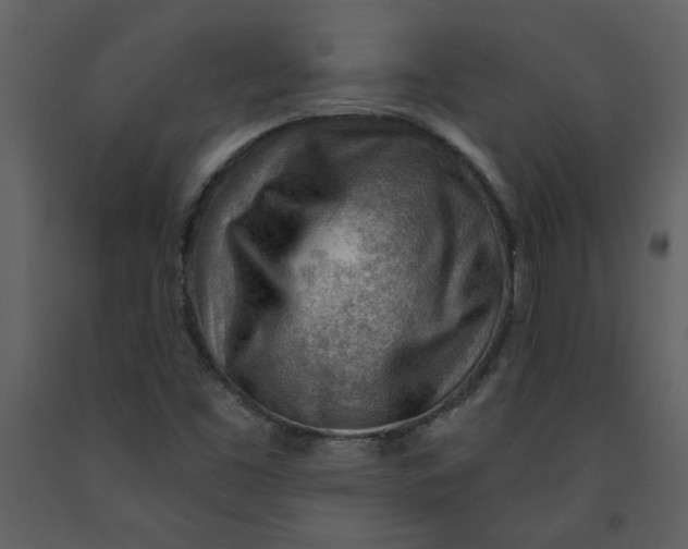 X0000093261453200710171437