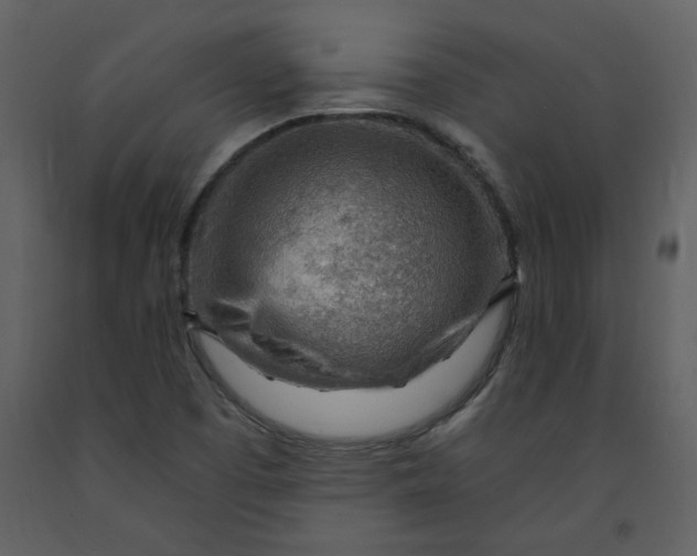 X0000093261457200710171437