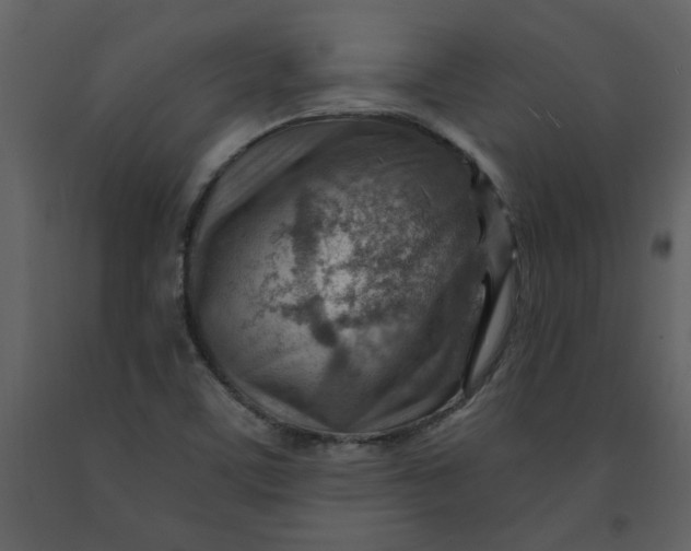 X0000093261459200710171437